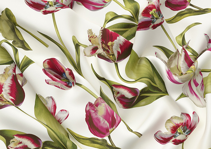 Carries, Cosmos - Roman Blind - Image 4